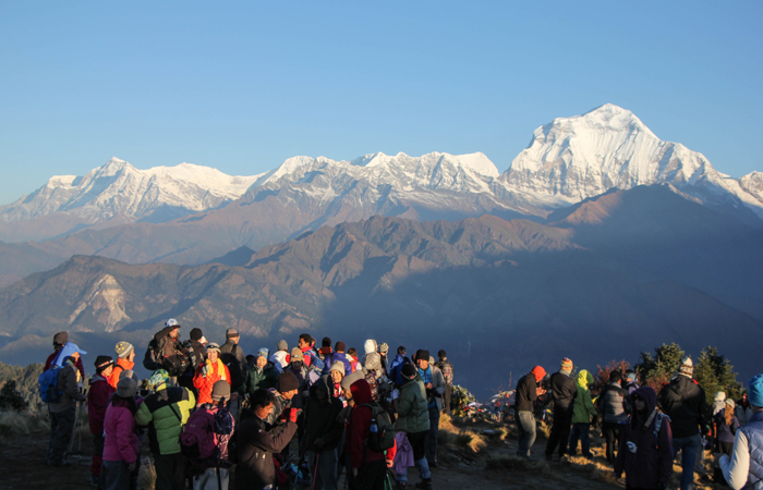 Ghorepani Poon Hill Trek