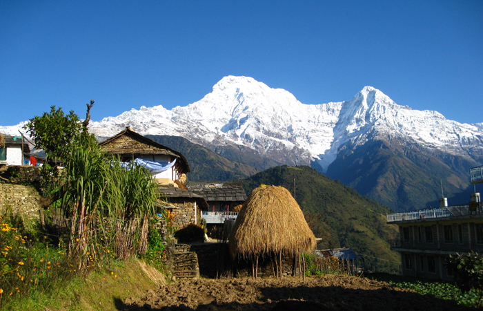 Royal Trek & Jungle Safari