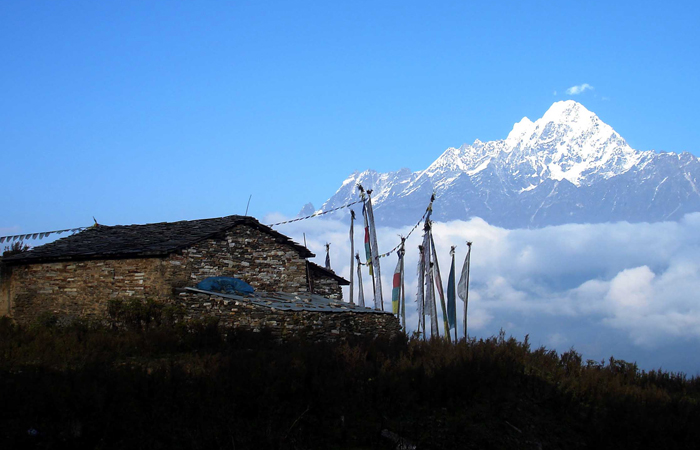 Langtang valley Trek 9 Days
